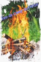 Feu de camp