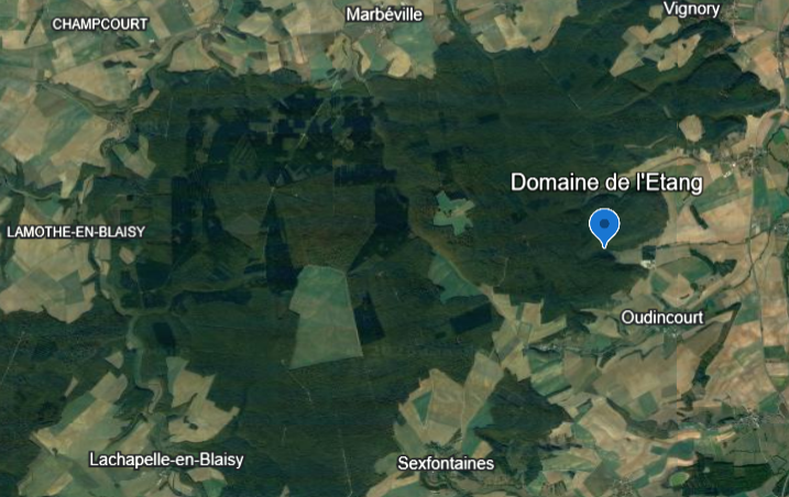 Balade dans la forêt de l'étoile