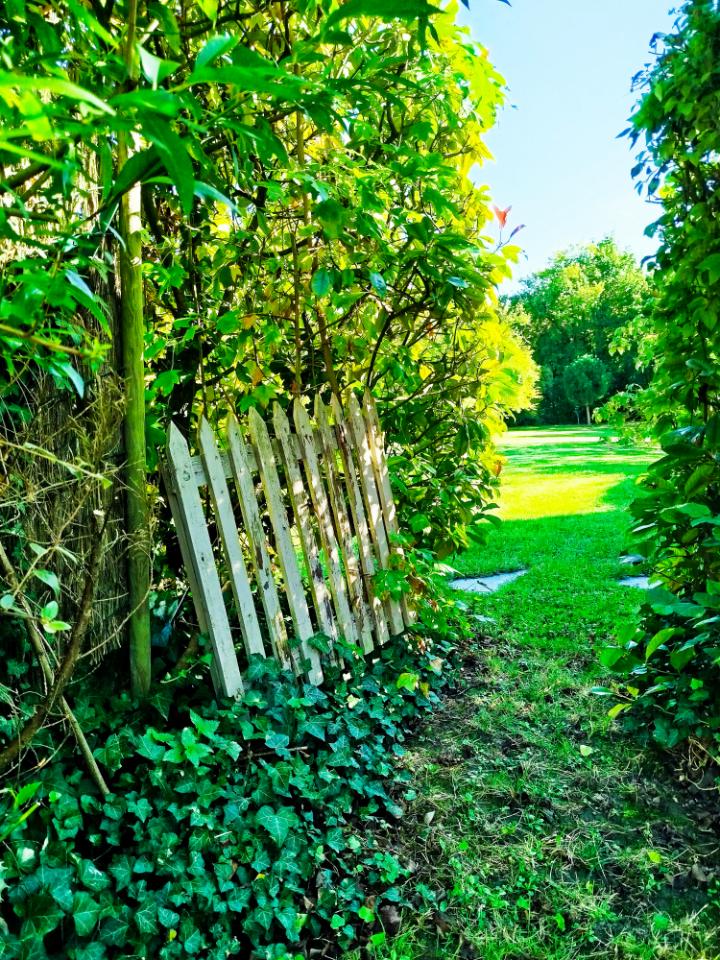 Au coeur de notre jardin bucolique