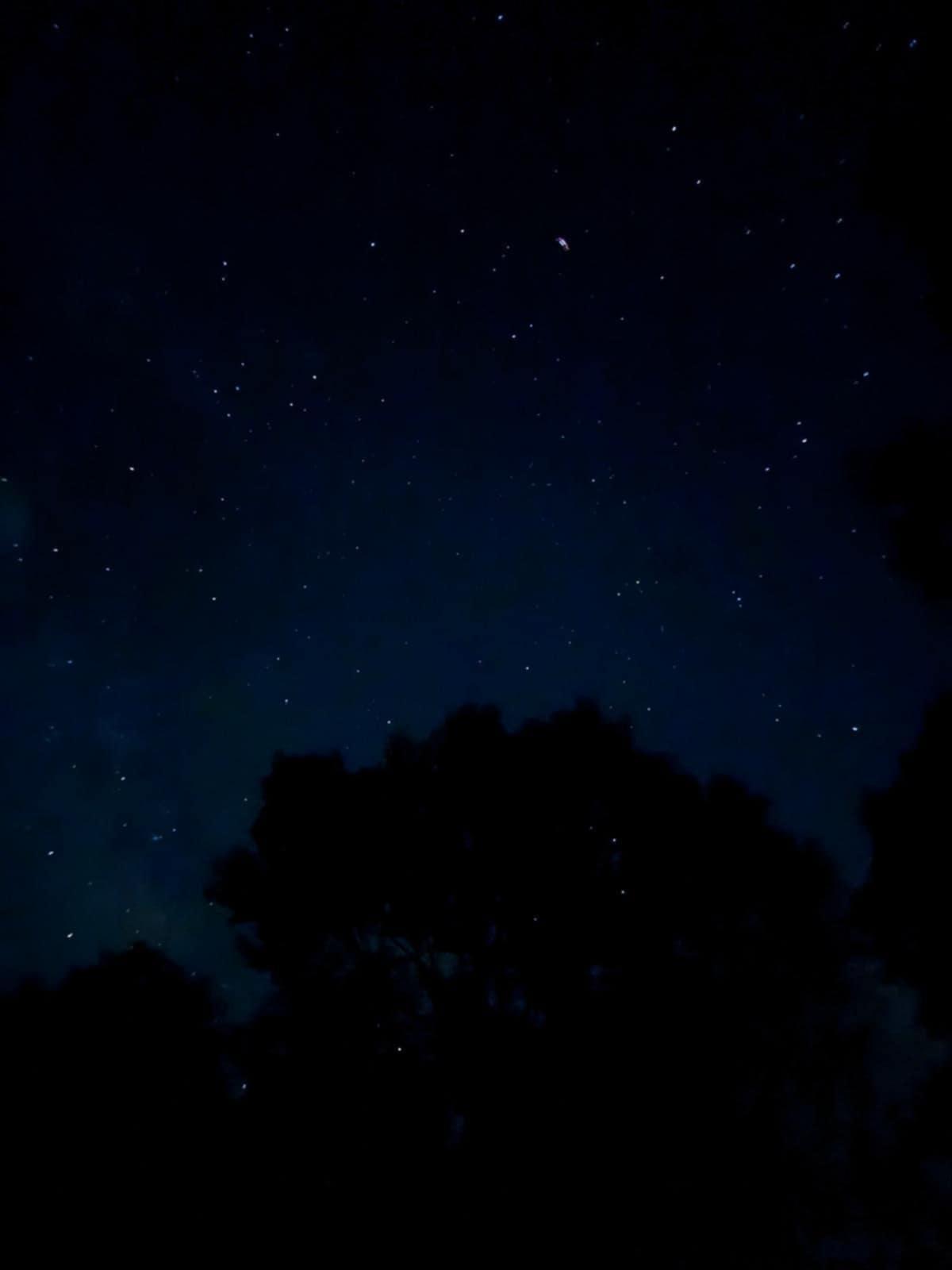 Observations des étoiles