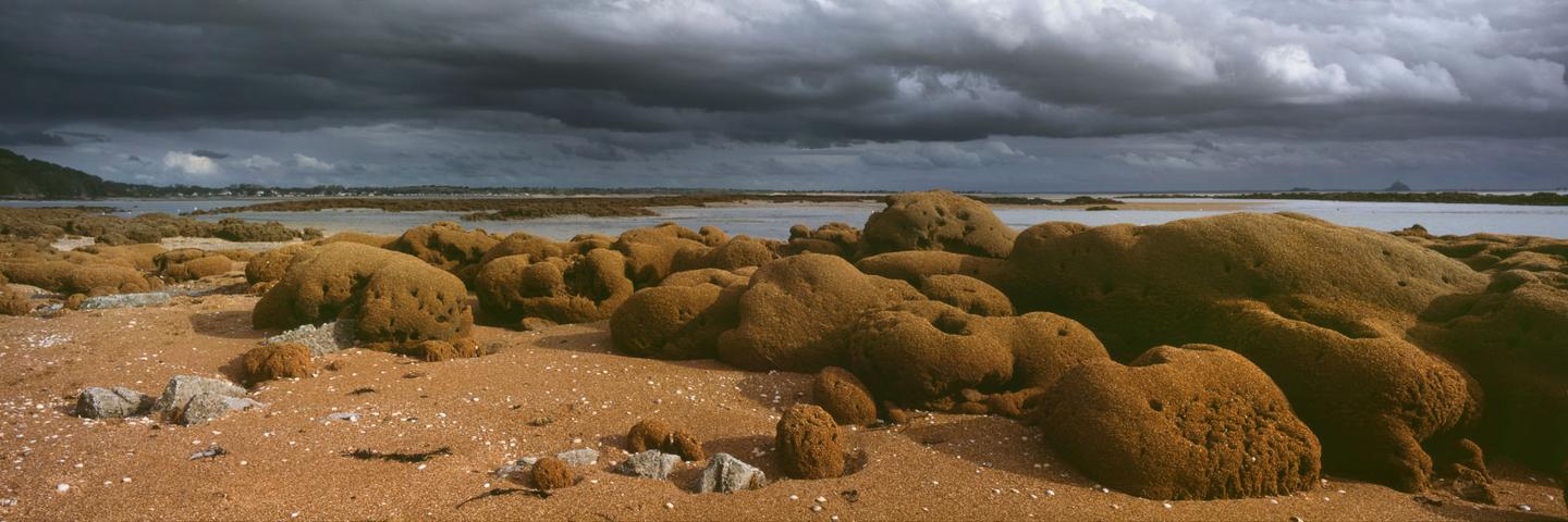 Le Banc des Hermelles
