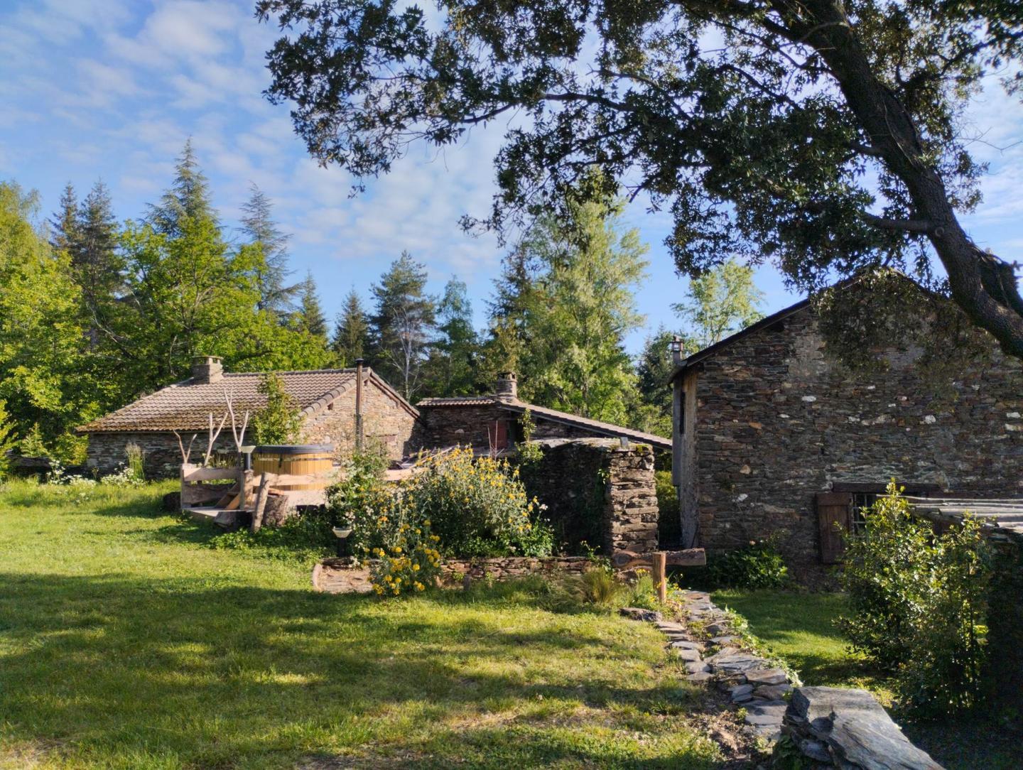 Nature cévenole et déconnexion