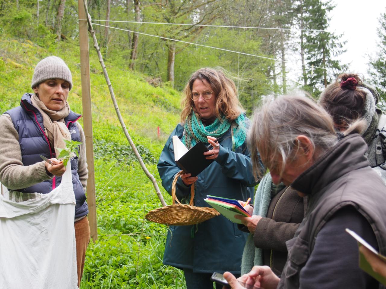 Activités liées à la transition écologique et sociétale