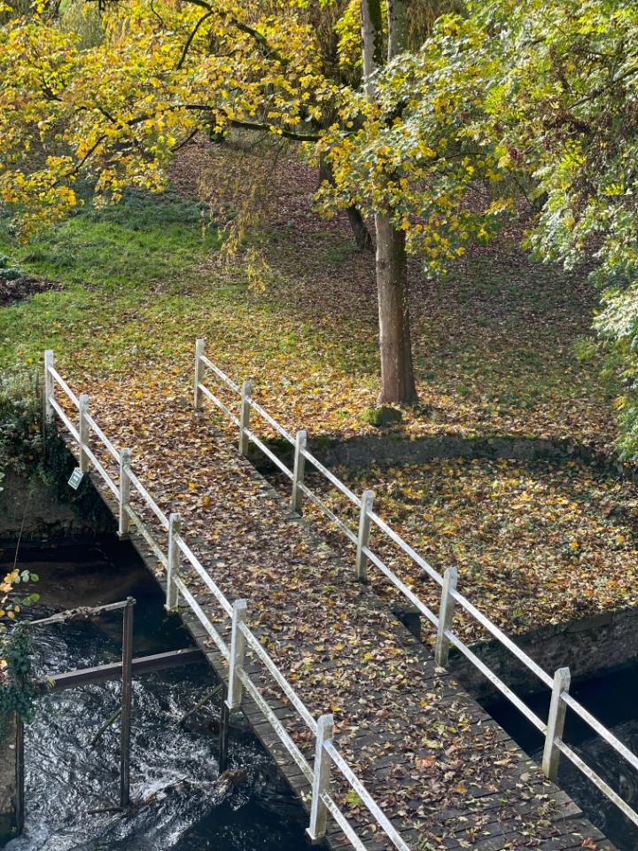 île privative