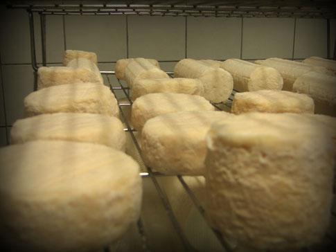 Les produits de la ferme : fromages de chèvre BIO & oeufs BIO