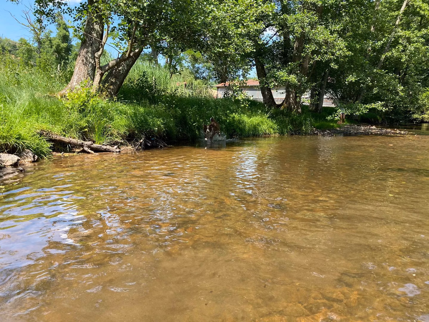 Préparez-vous à dormir dans un p’tit coin de nature, dans une tente Sahara aménagée au bord de la rivière !