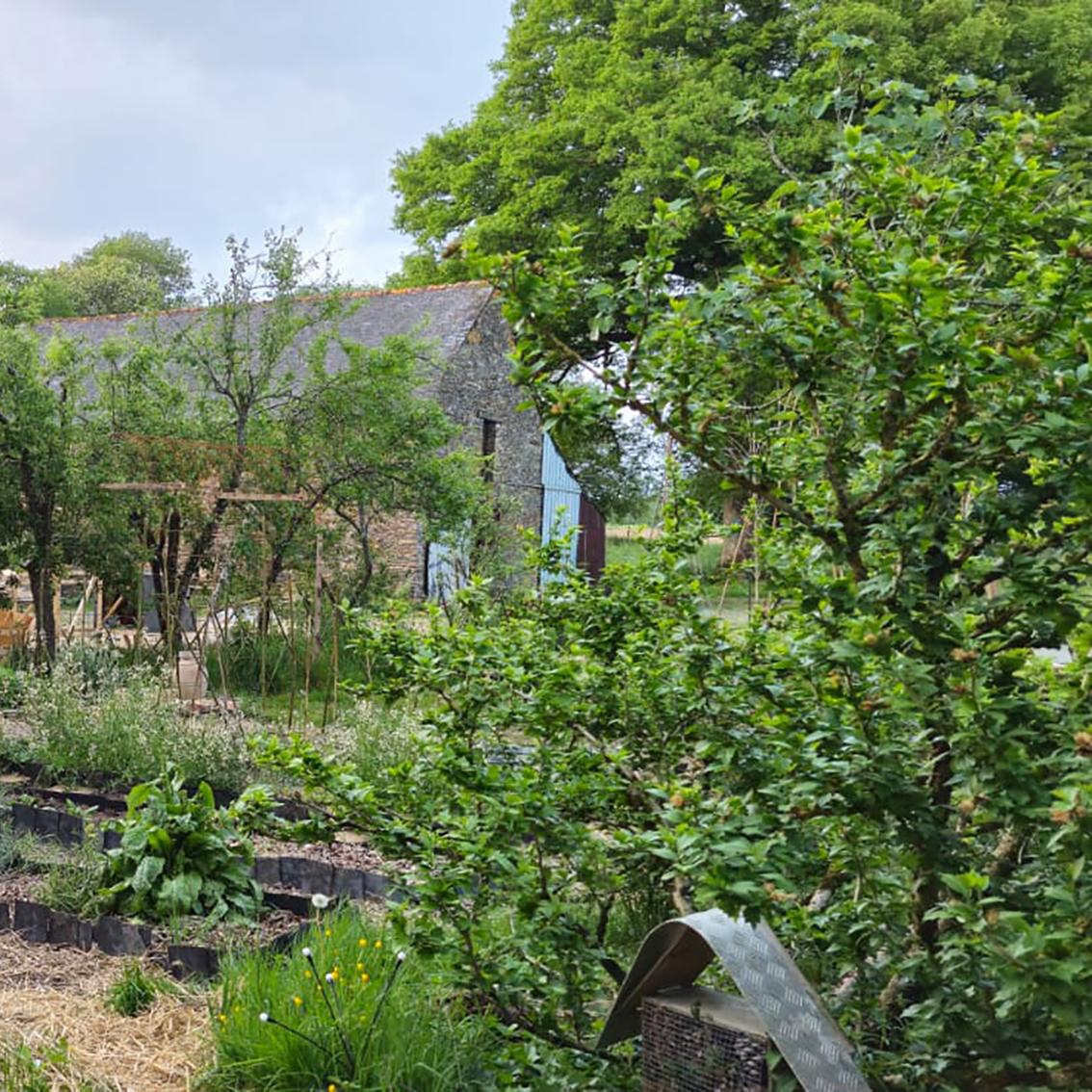 Au coeur de notre jardin potager et plantes médicinales