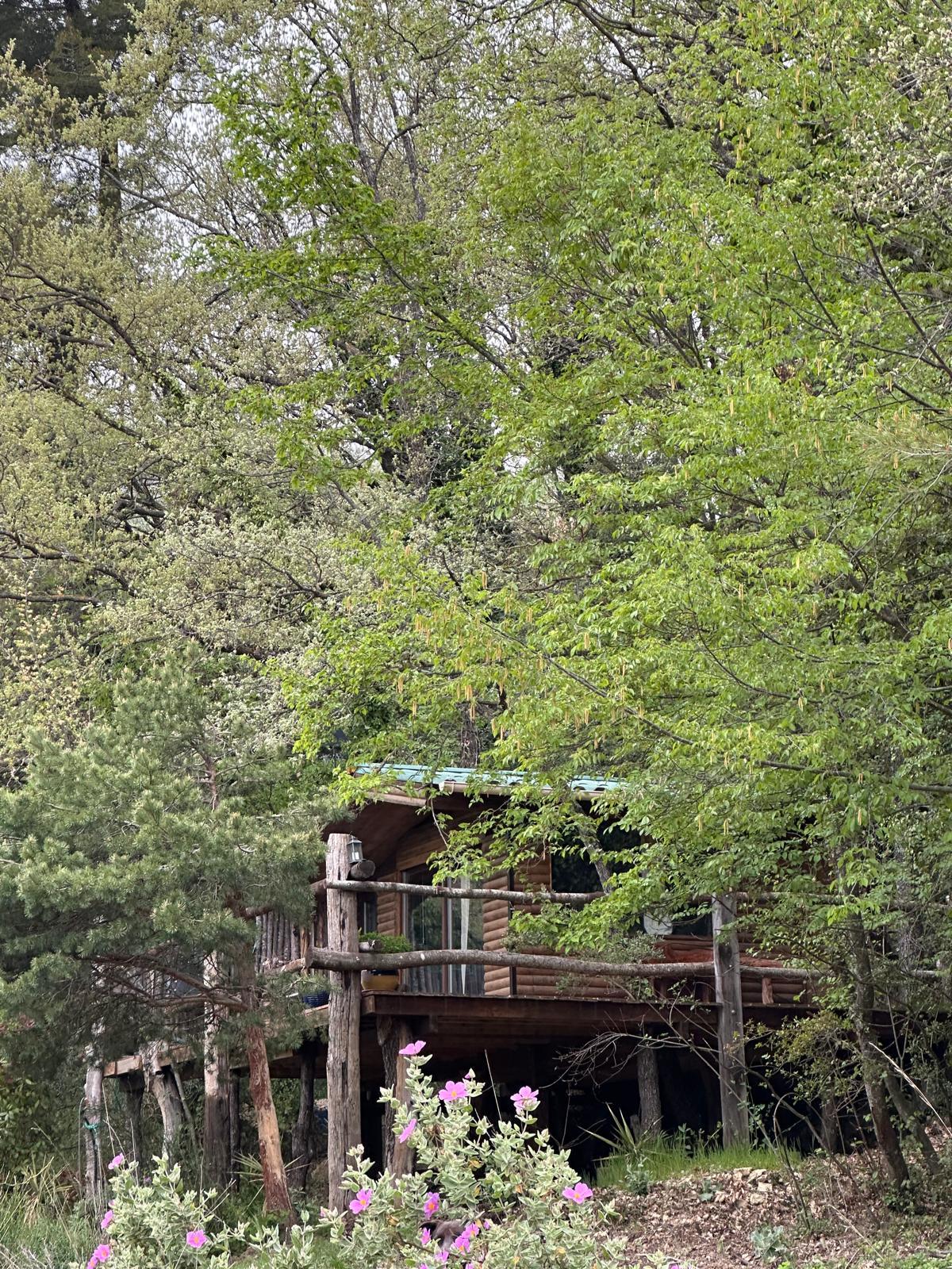 Chalet en pleine nature avec équitation