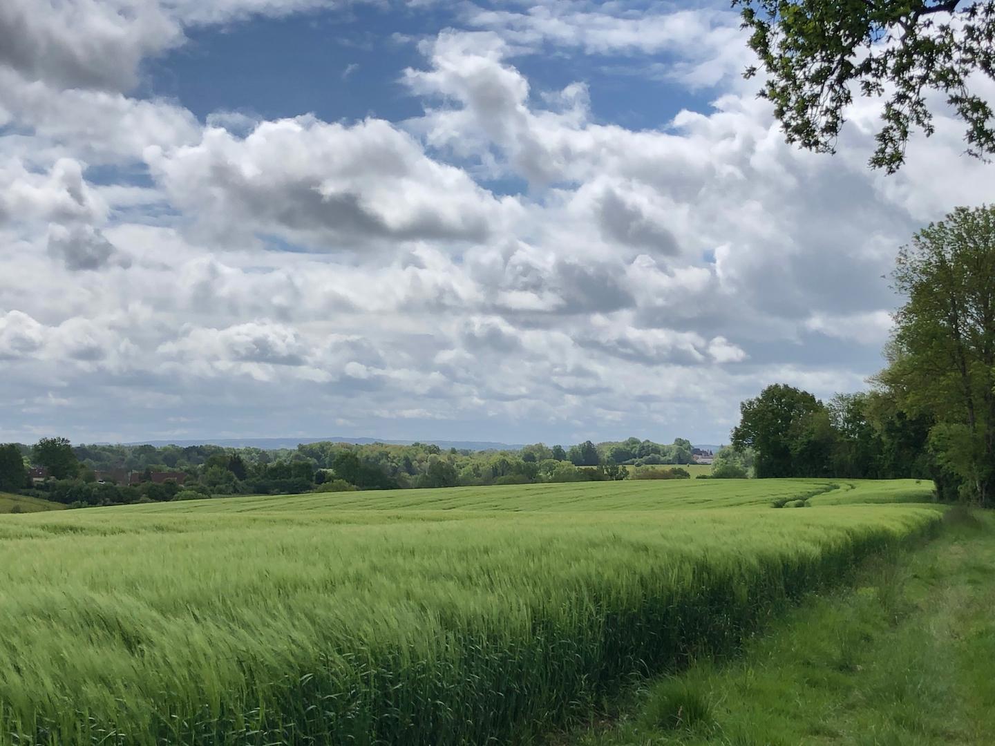 Au bord du Tour des Collines du Perche