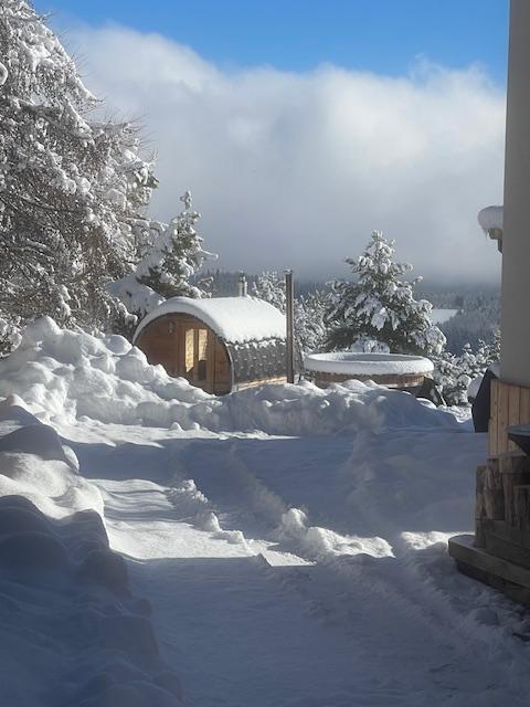 Sauna tonneau panoramique en supplément