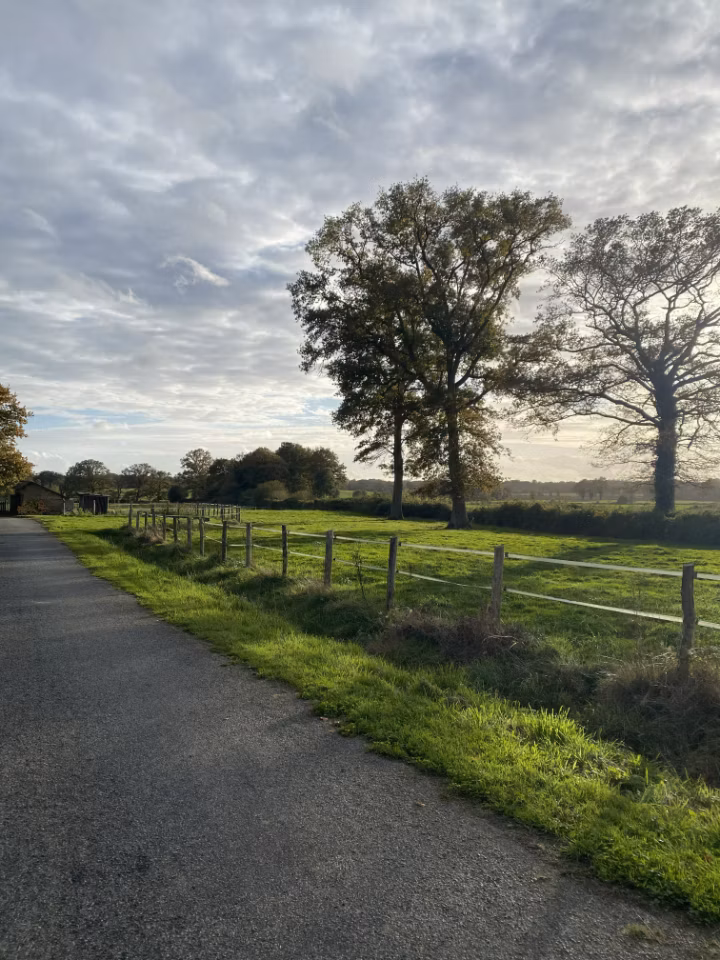 Randonnées depuis le gîte entre campagne et forêt.