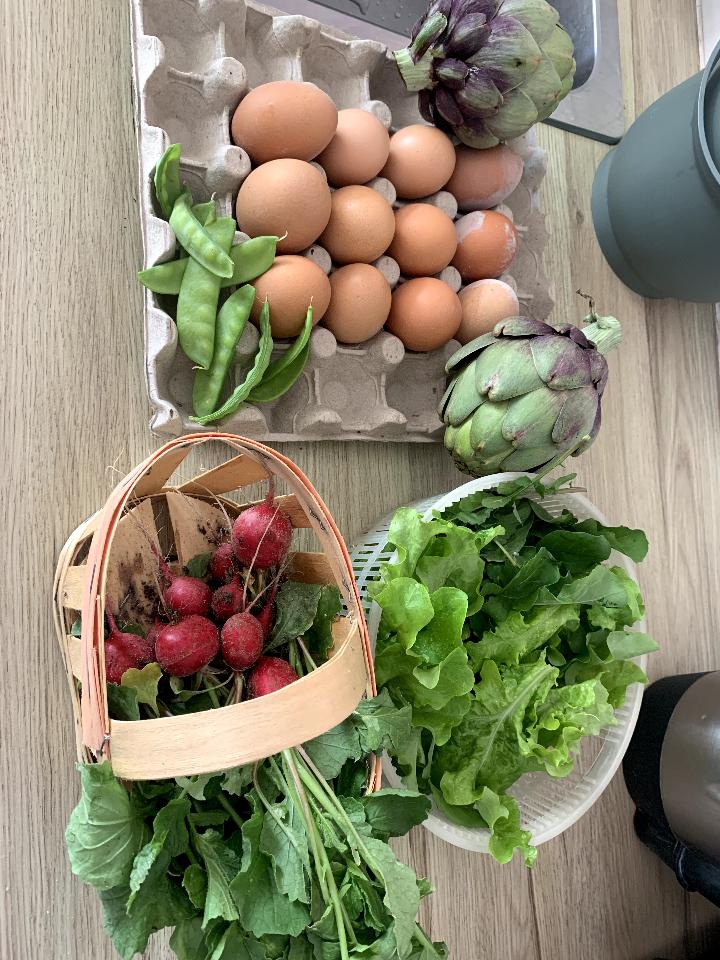 Cueillette de saison
