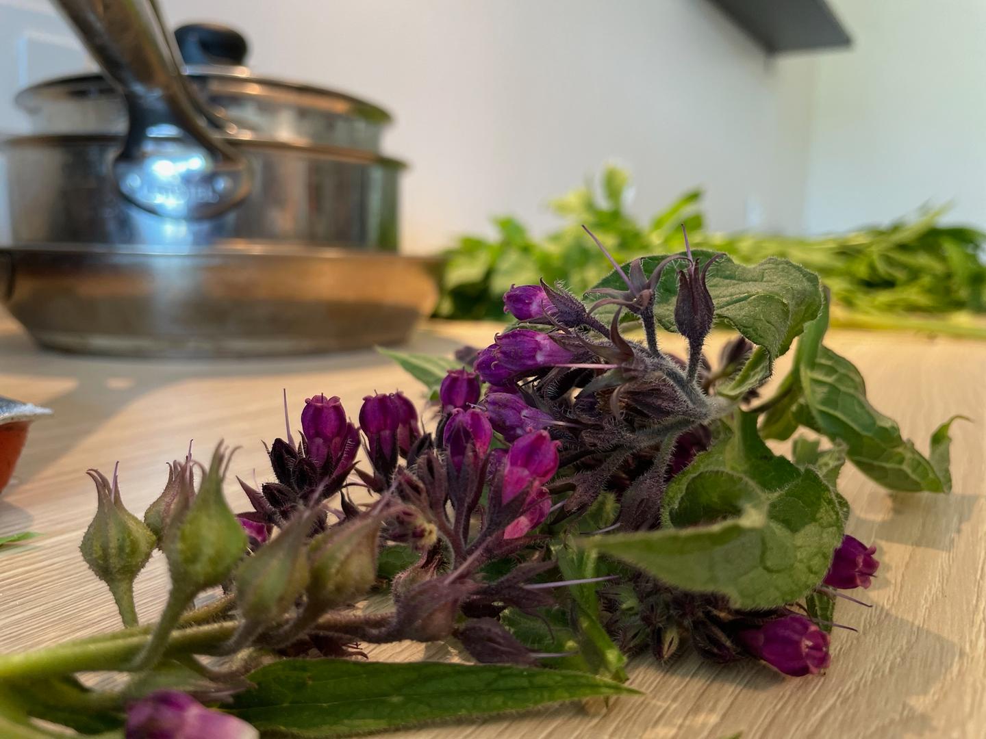 Atelier cuisine avec plantes sauvages