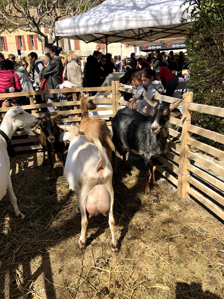 Visite de la Ferme du Bregalon
