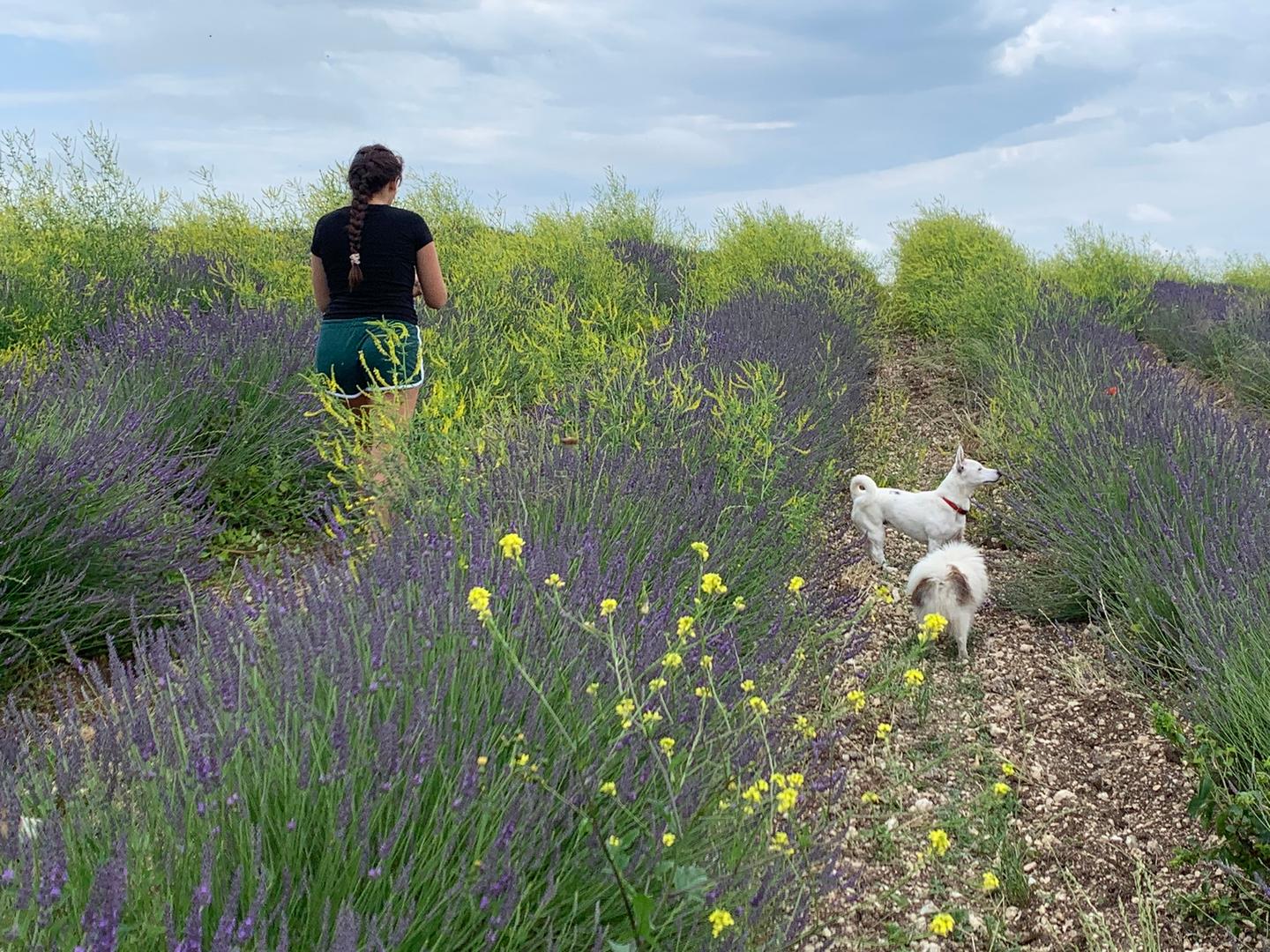 Randonnées à partir du gîte