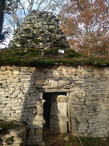 Randonnée et balades pleine nature, entre forêts, rivières et points de vue