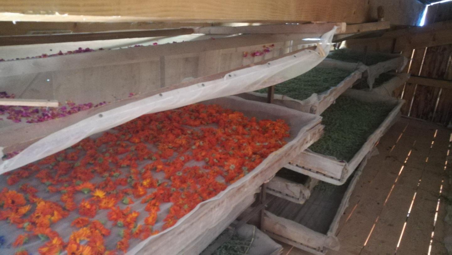 Participez aux activités de notre ferme