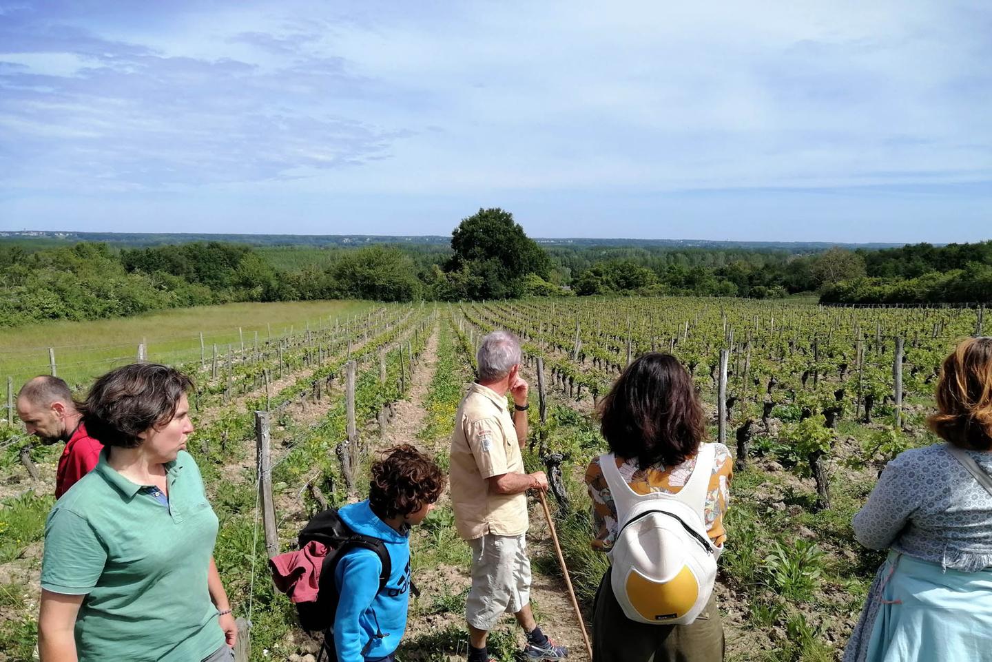 Balade et pique-nique dans les vignes