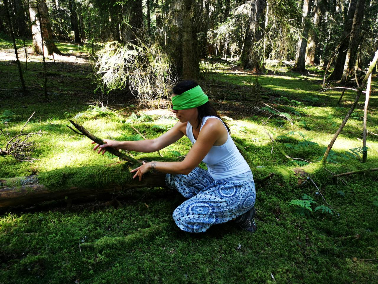 Bain de forêt (shinrin yoku ou sylvothérapie)