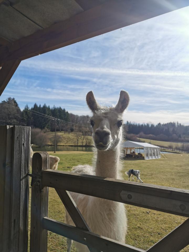 Ferme de Lamas et étang de pêche