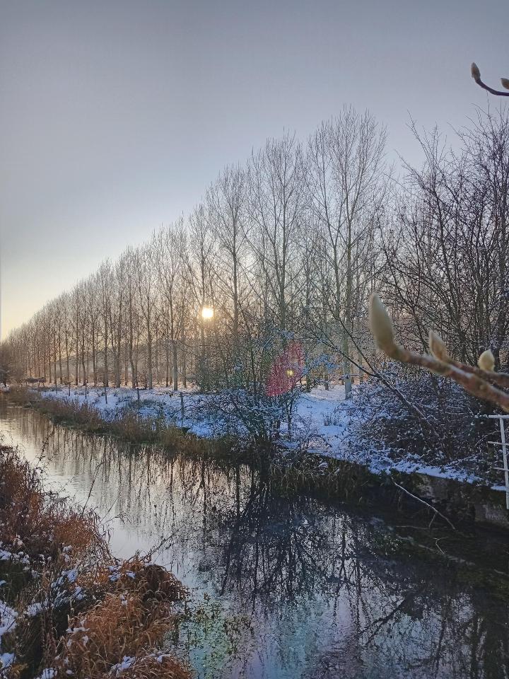 🌿 Séjour au Moulin des Prés – Évasion en pleine nature, tranquillité et convivialité