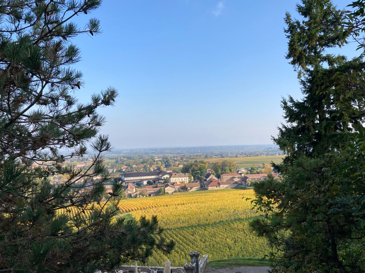 Randonnées à pied ou à vélo depuis la maison