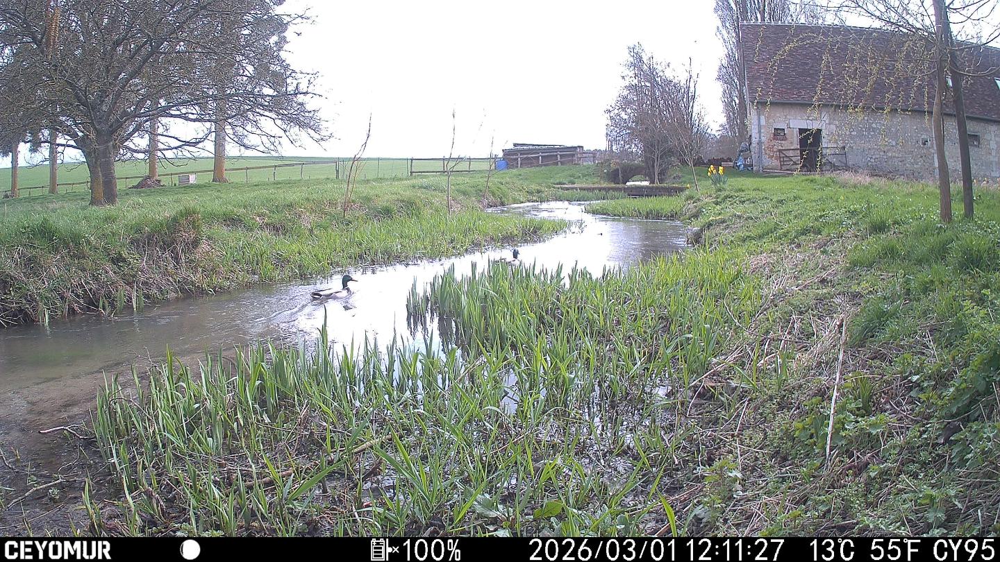 Au fil de la rivière