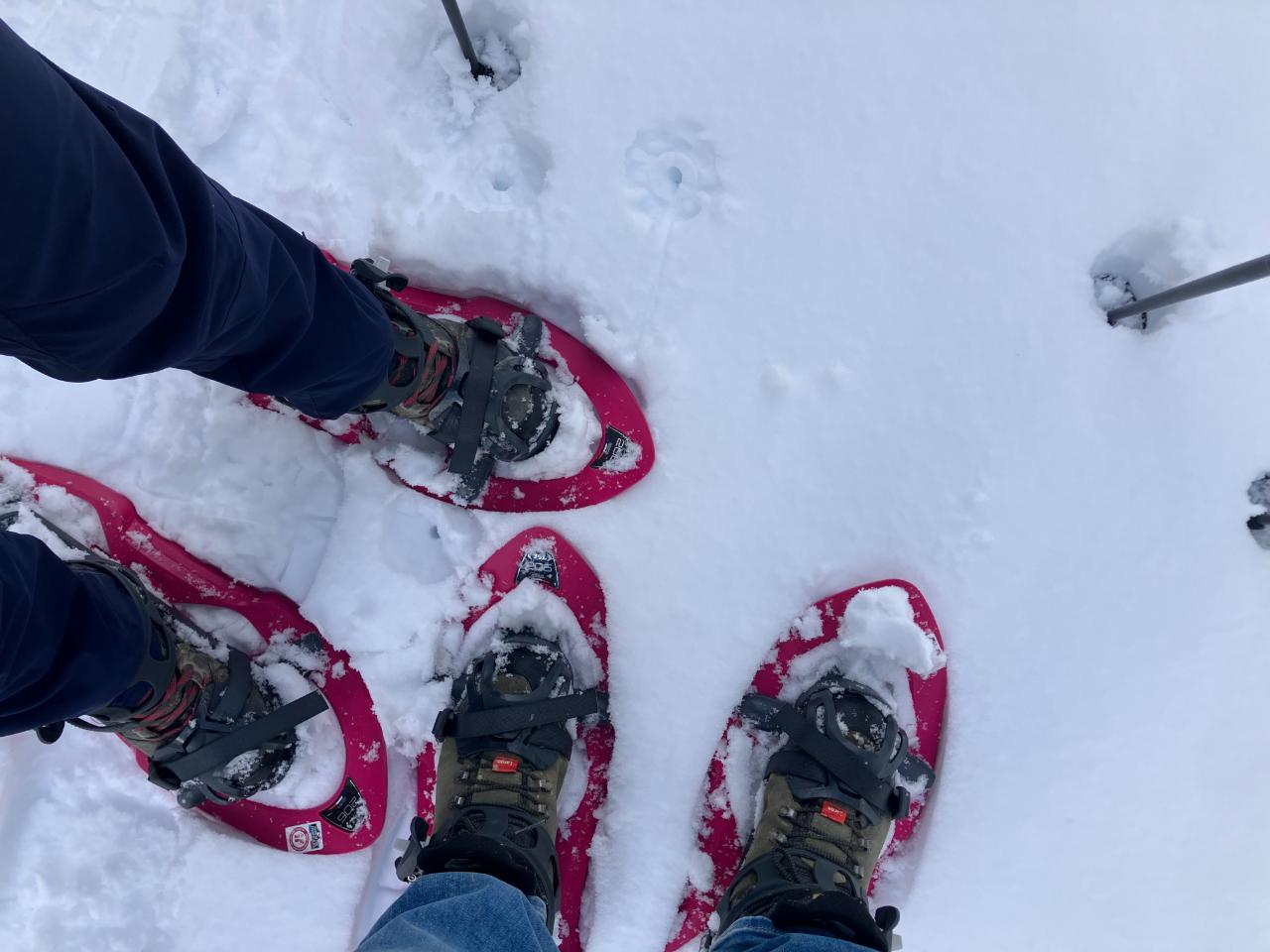 Randonnée ou balade en raquettes