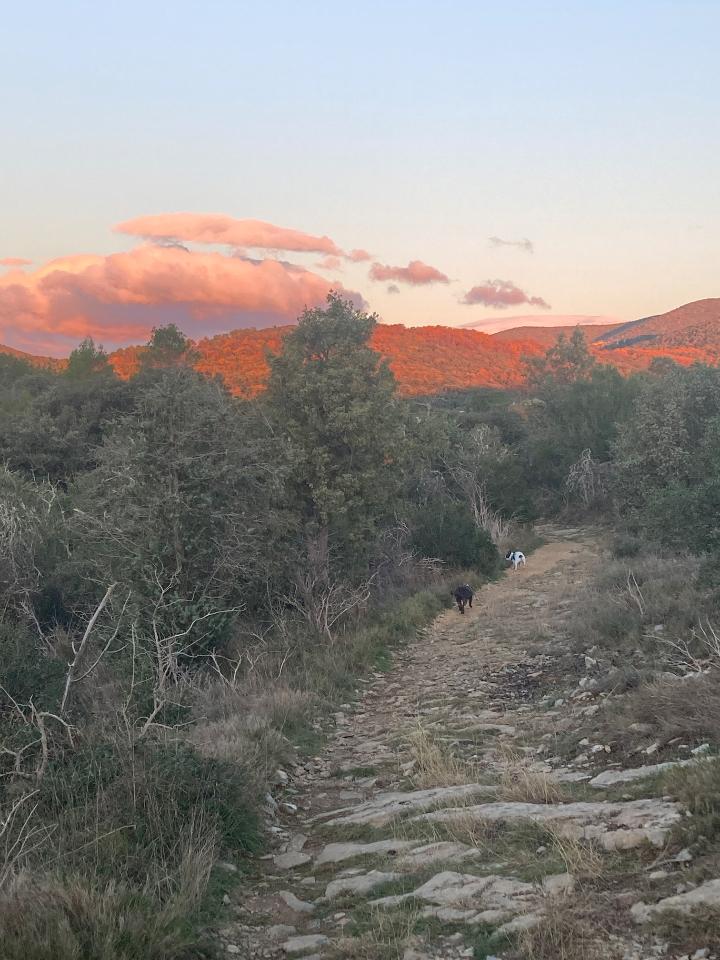 Rando au depart des Terres Aoyama !