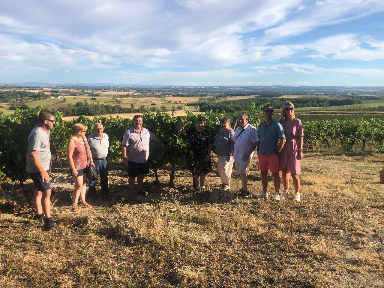 Visite du vignoble et dégustation de vin