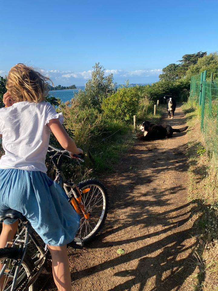 Venez découvrir la presqu'ile de Rhuys à vélo