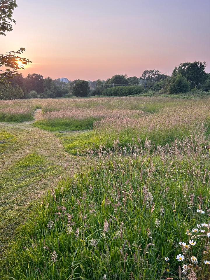 Au cœur de notre écrin de nature, venez déjeuner dans notre prairie pour profiter du spectacle de la vie de la jument et des 5 moutons ! Ou alors prenez un verre en soirée face au coucher de soleil 🌅