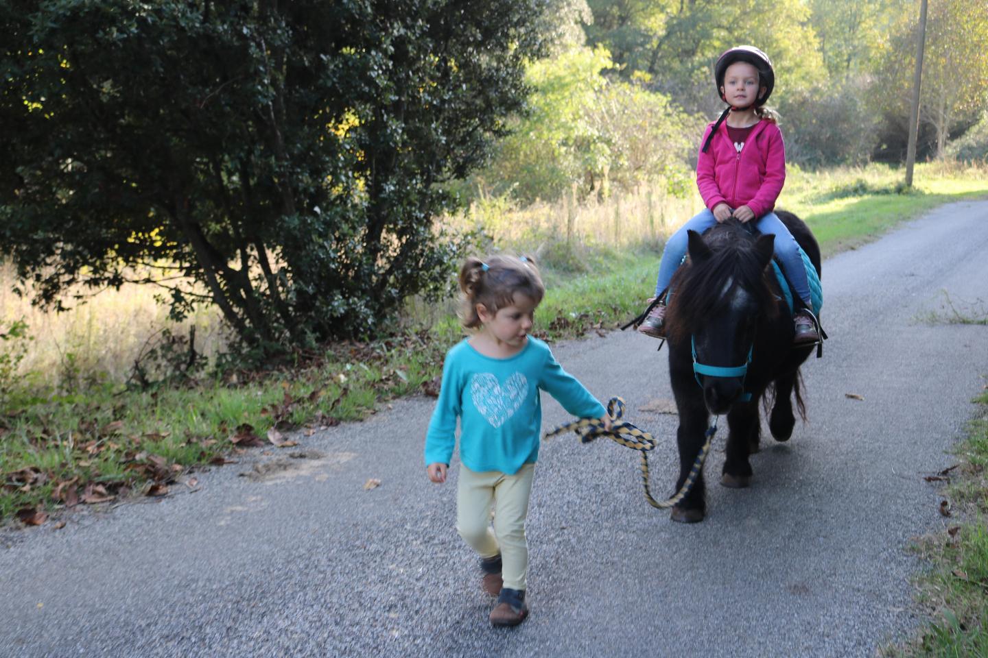 Prendre soin des poneys en famille