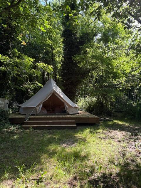 Parenthèse au calme dans les bois