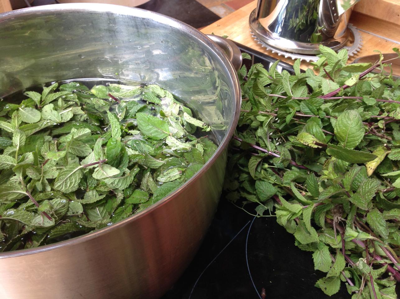 cueillette et fabrication de sirop (menthe, mélisse, plantain suivant la saison)