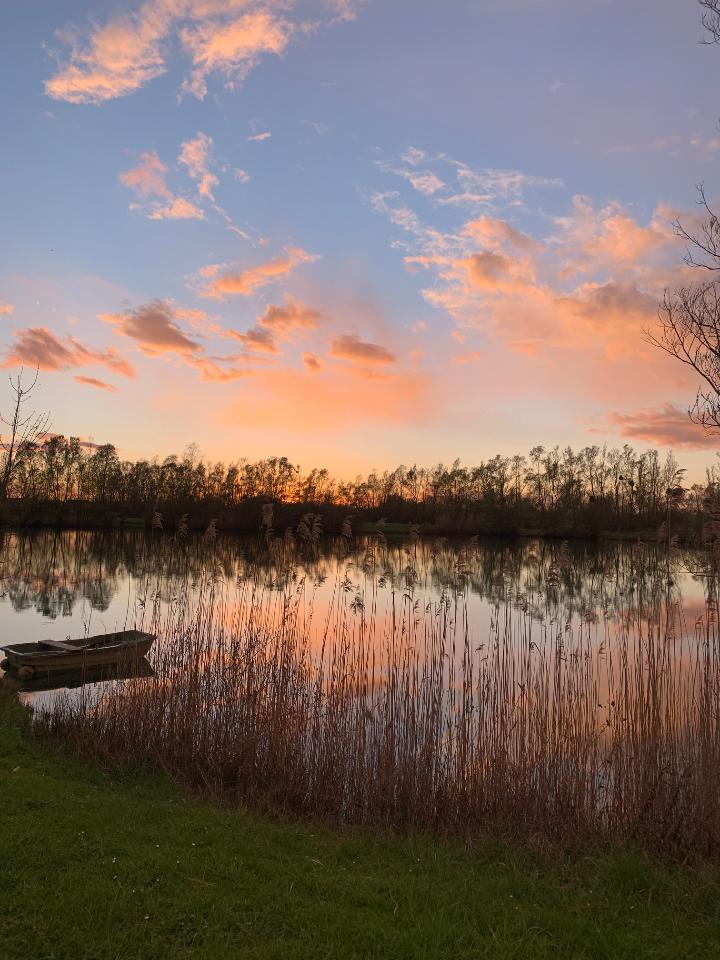 Vue du logement sur le lac !