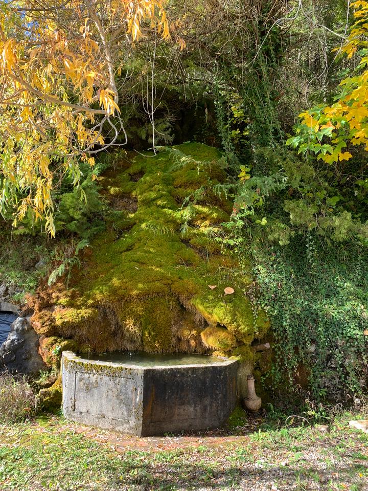 Dans un environnement naturel avec piscine mise à disposition gratuitement !