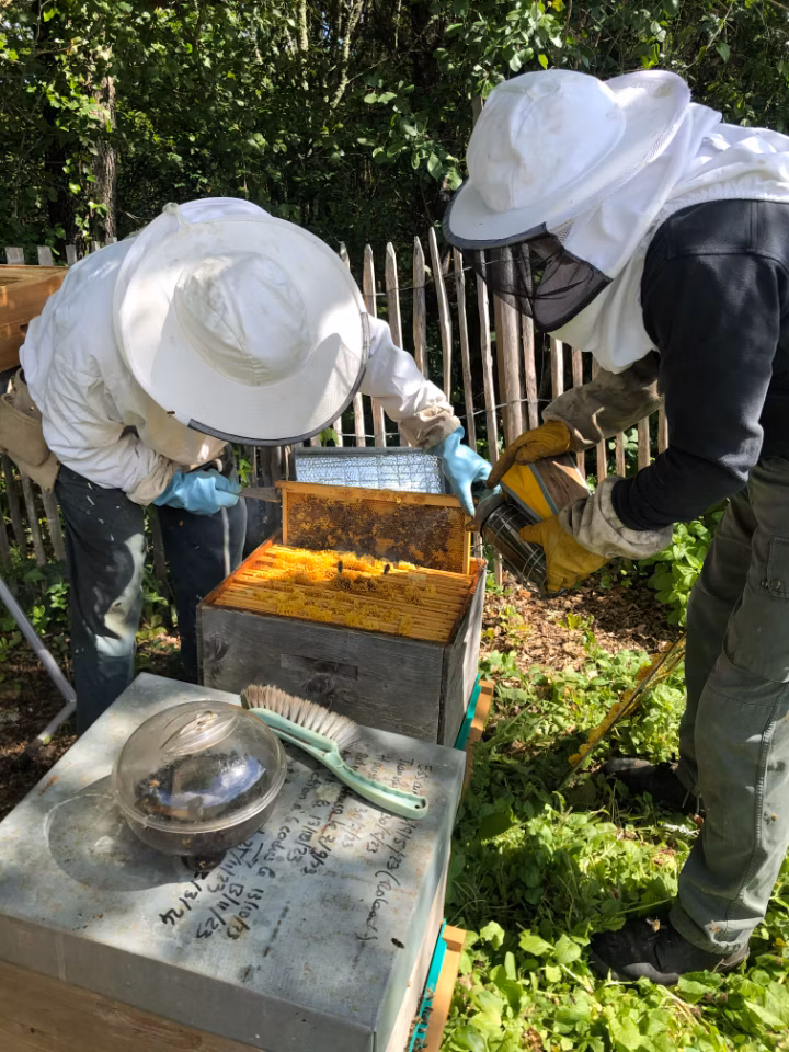 Ateliers confiture ou apiculture
