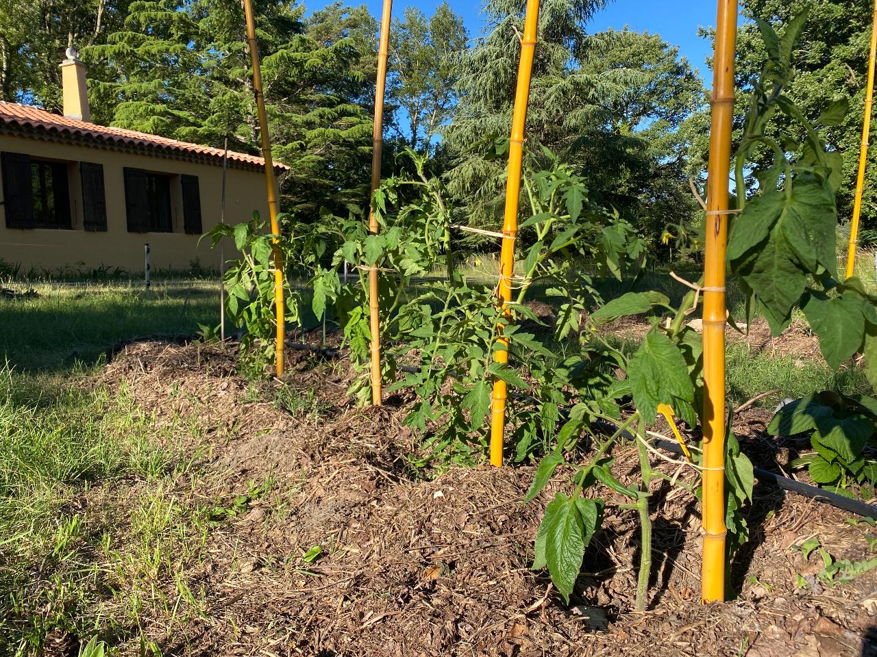 Un jardin permaculturel à découvrir