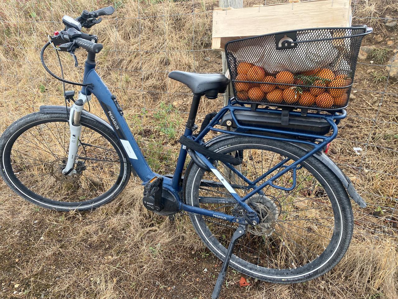 Venez découvrir la presqu'ile de Rhuys à vélo
