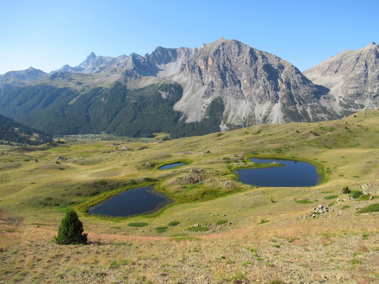 Au Pays de la Meije = Une nature 100% préservée au coeur des Alpes