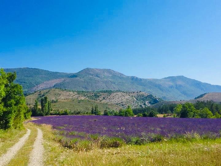 Au coeur de la nature