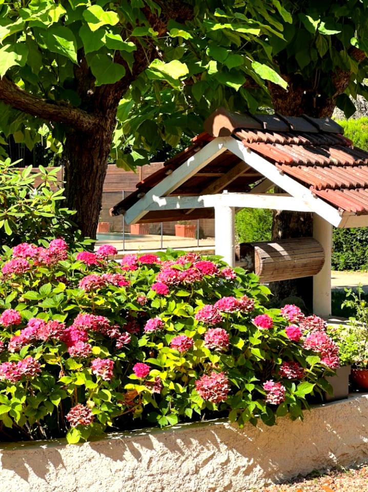 Un moment de calme au cœur de notre jardin privé et préservé