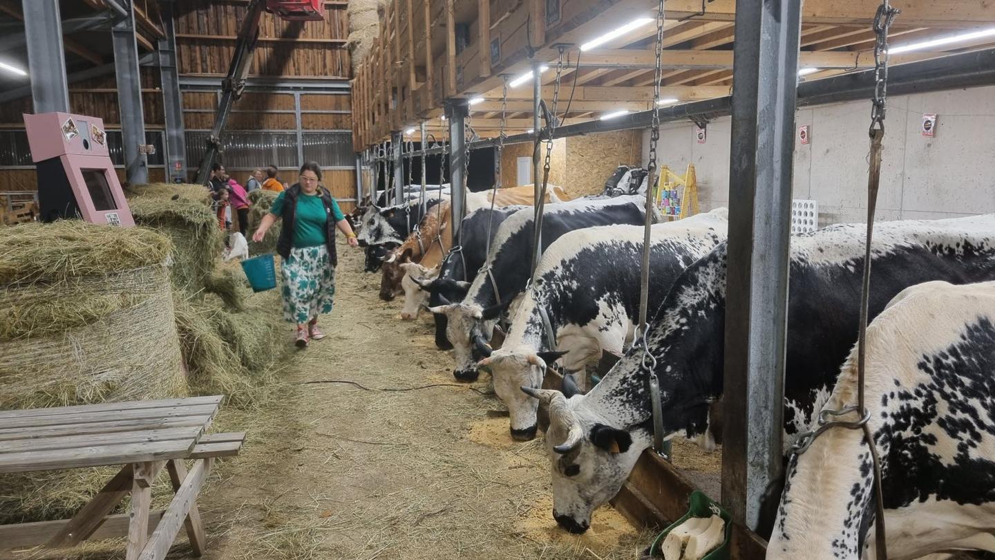 Visite de la ferme des Plombes XL