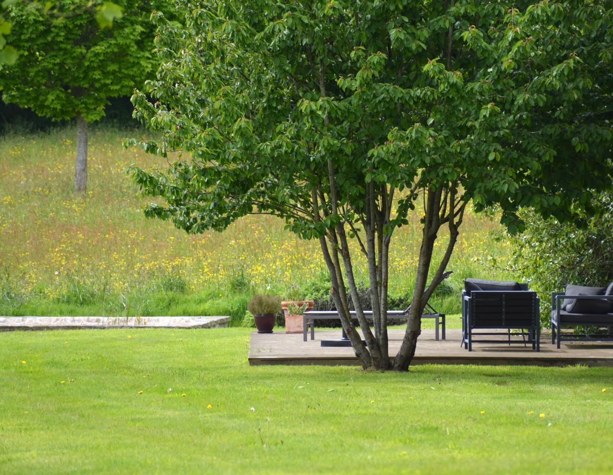 Au milieu des champs