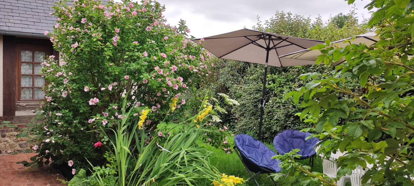 Le jardin extérieur est très fleuri, vous trouverez un hibiscus du japon , un églantier, beaucoup de plantes vivaces, des plantes aromatiques (romarin, menthe, ciboulette ...), jonquilles, tulipes