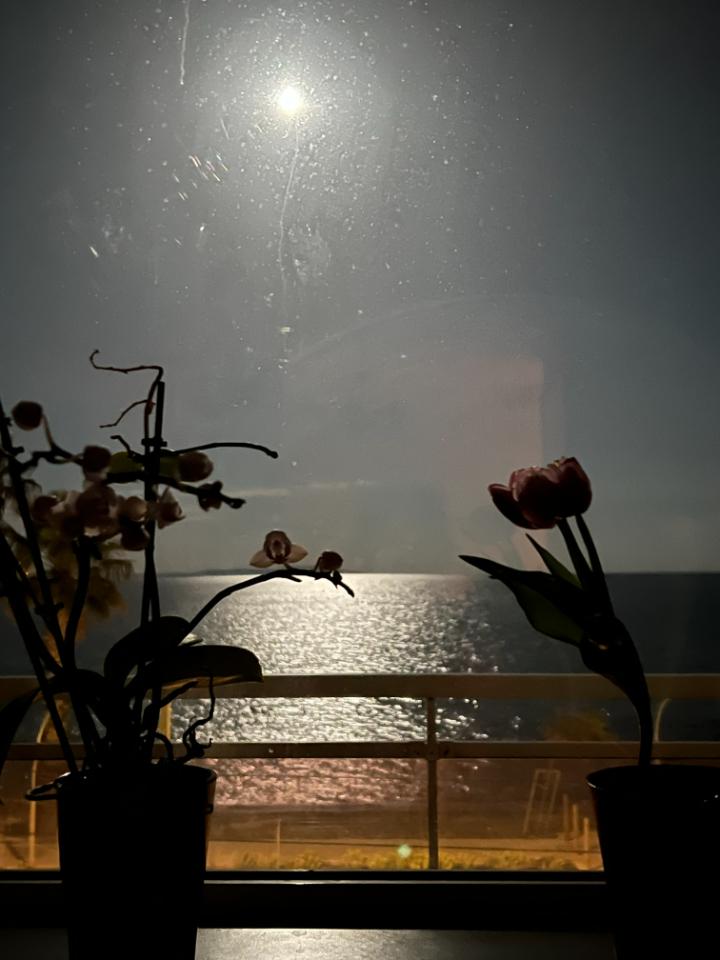 magnifiques levés de soleil et couchés de lune depuis la terrasse