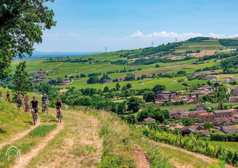 Location de vélos électriques