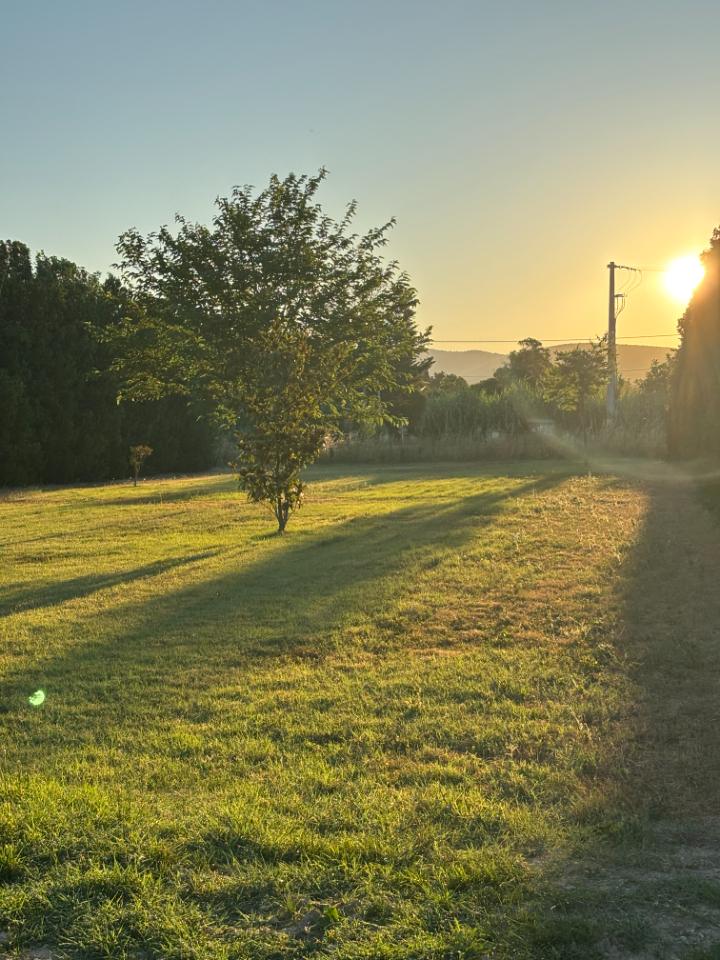 Un grand jardin pour se retrouver et profiter du grand air