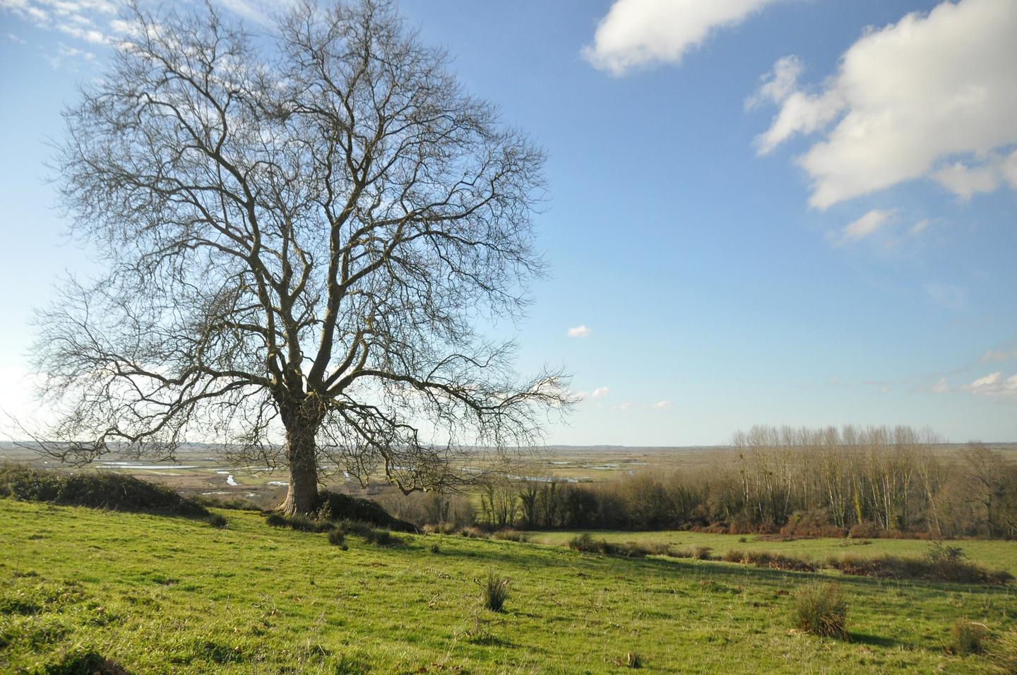 Grands espaces et vue panoramique époustouflante